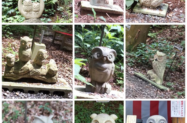 可愛いフクロウがたくさん♪