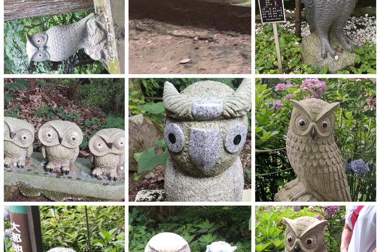 石像のフクロウがいっぱい迎えてくれます！